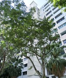 Blk 141 Serangoon North Avenue 2 (Serangoon), HDB 5 Rooms #466480791